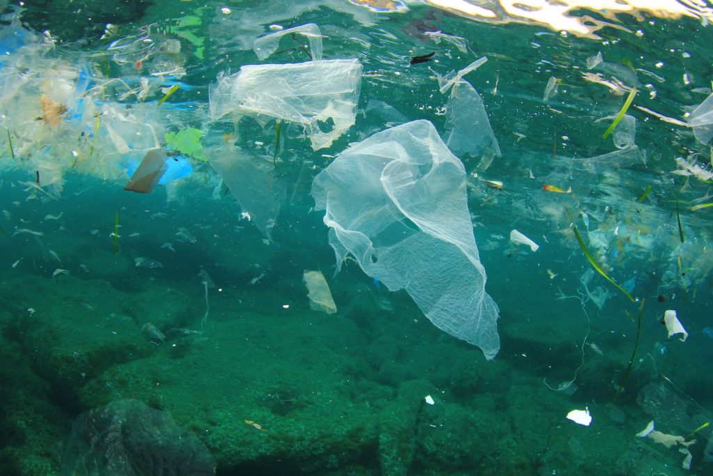 a plastic bag and other litter polluting the ocean.